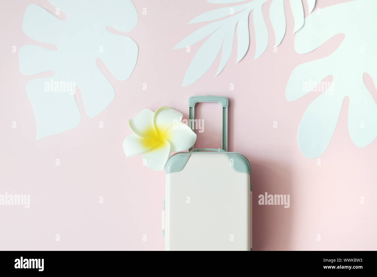 Beige Reisekoffer auf rosa Hintergrund mit tropischen Blättern und weissen Blüten. Konzept für Reisen. Flach mit Platz für Ihren Text Stockfoto Beige Reisekoffer auf rosa Hintergrund mit tropischen Blättern und weissen Blüten. Konzept für Reisen. Flach mit Platz für Ihren Text Stockfoto