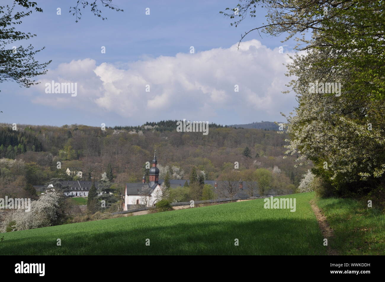 Kloster Eberbach Stockfoto