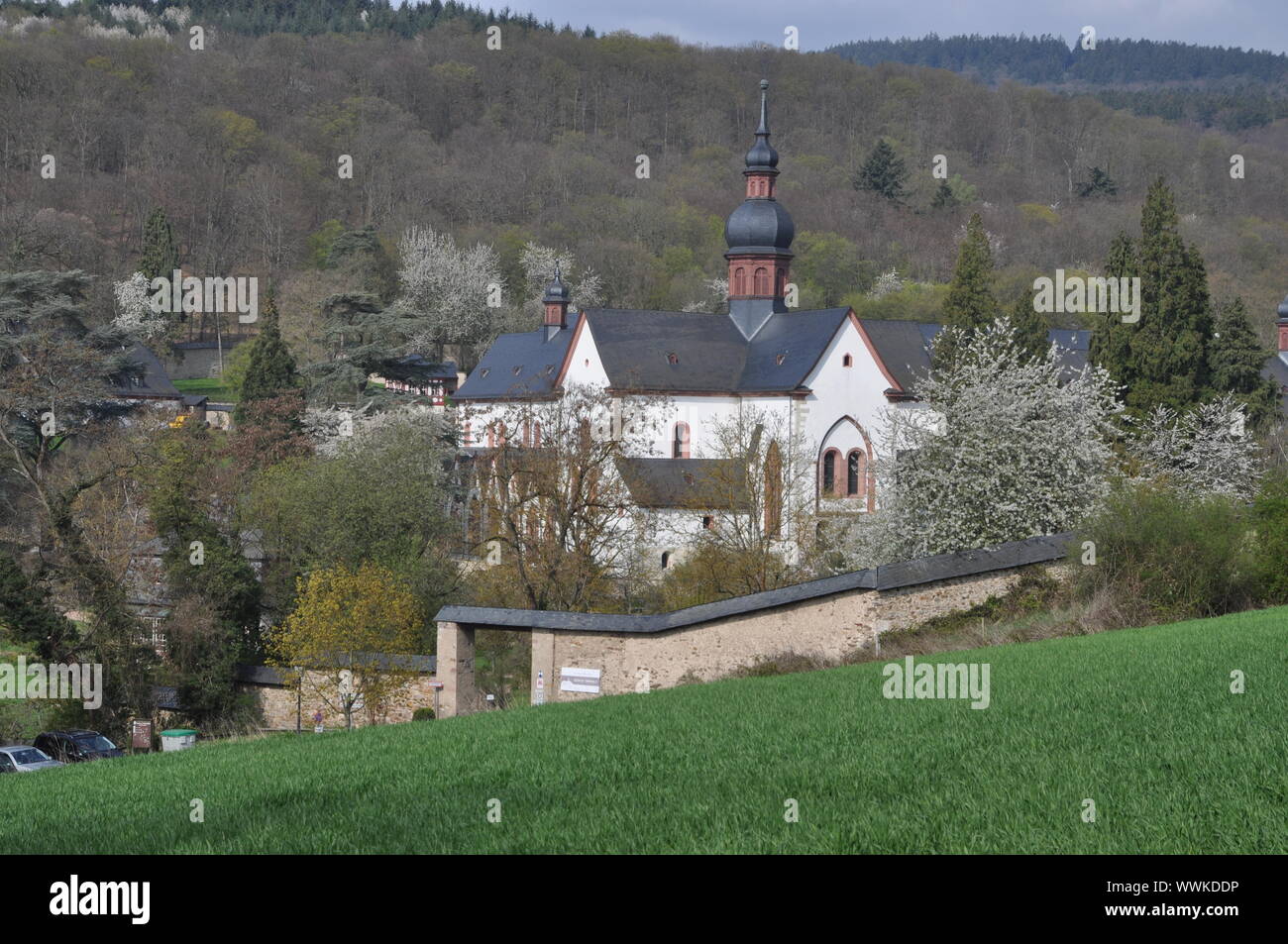 Kloster Eberbach Stockfoto
