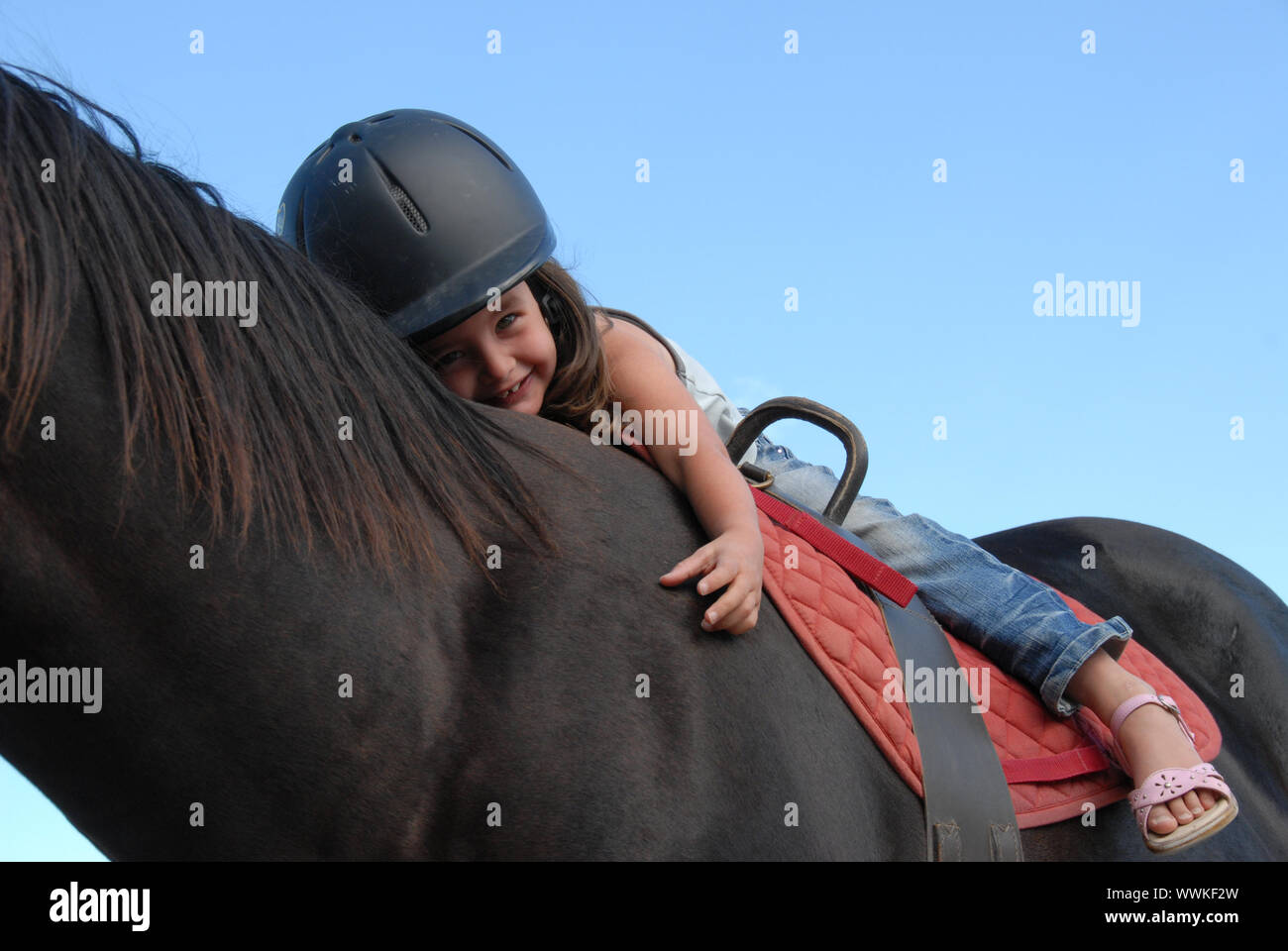 Alter Hengst, Junger Teenie Alter Hengst, Junger Teenie