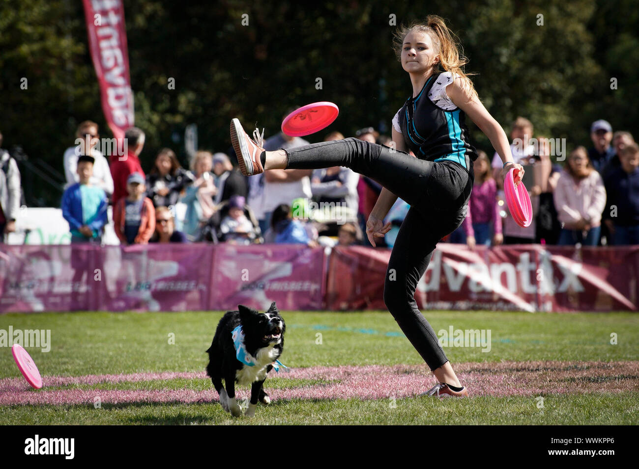 Warschau, Polen. 15 Sep, 2019. Ein Hund wird zu springen einen Frisbee während der Fliegende Hunde Wettbewerb in Warschau, Polen, 15. September 2019 zu fangen. Credit: Jaap Arriens/Xinhua Stockfoto