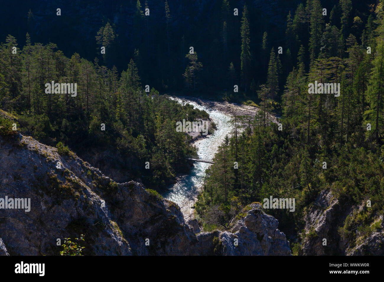 White Water in einer Schlucht mit Bergwald in den Alpen Stockfoto
