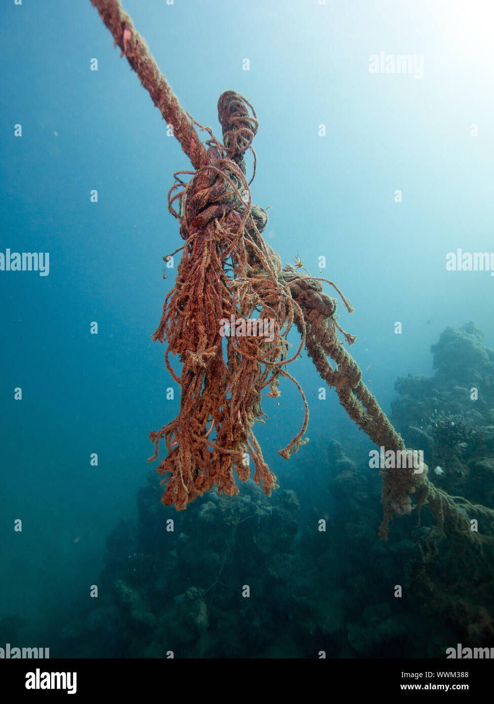 Anker Seil Stockfoto