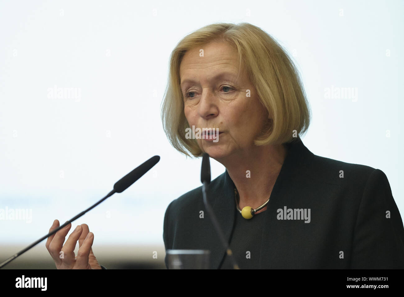 "Management von großen Daten Korpora" - ALLEA Stockfoto