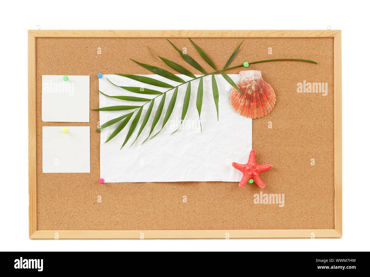 Hintergrund mit leeren zerknittertes Papier, Muscheln, Palm verlassen und Muschel Stockfoto