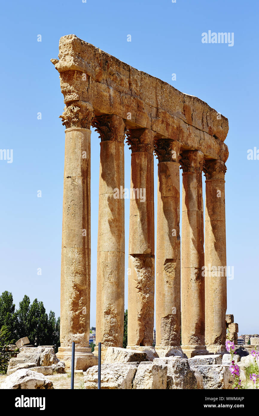 Jupiter Spalten (Tempel des Jupiter) - Baalbek, Libanon Stockfoto