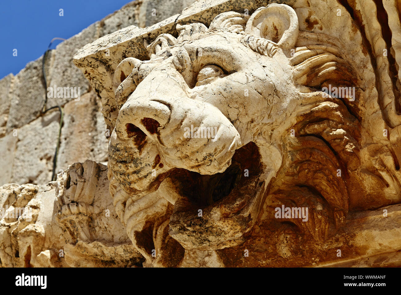 Baalbek lion (Tempel des Jupiter) - Baalbek, Libanon Stockfoto