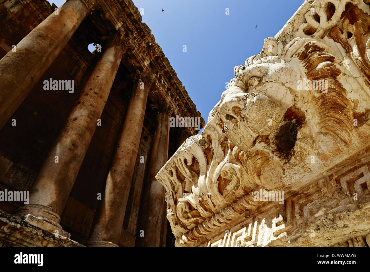 Bacchus Tempel (Tempel des Bacchus und der Löwe) - baalbek Baalbek, Libanon Stockfoto