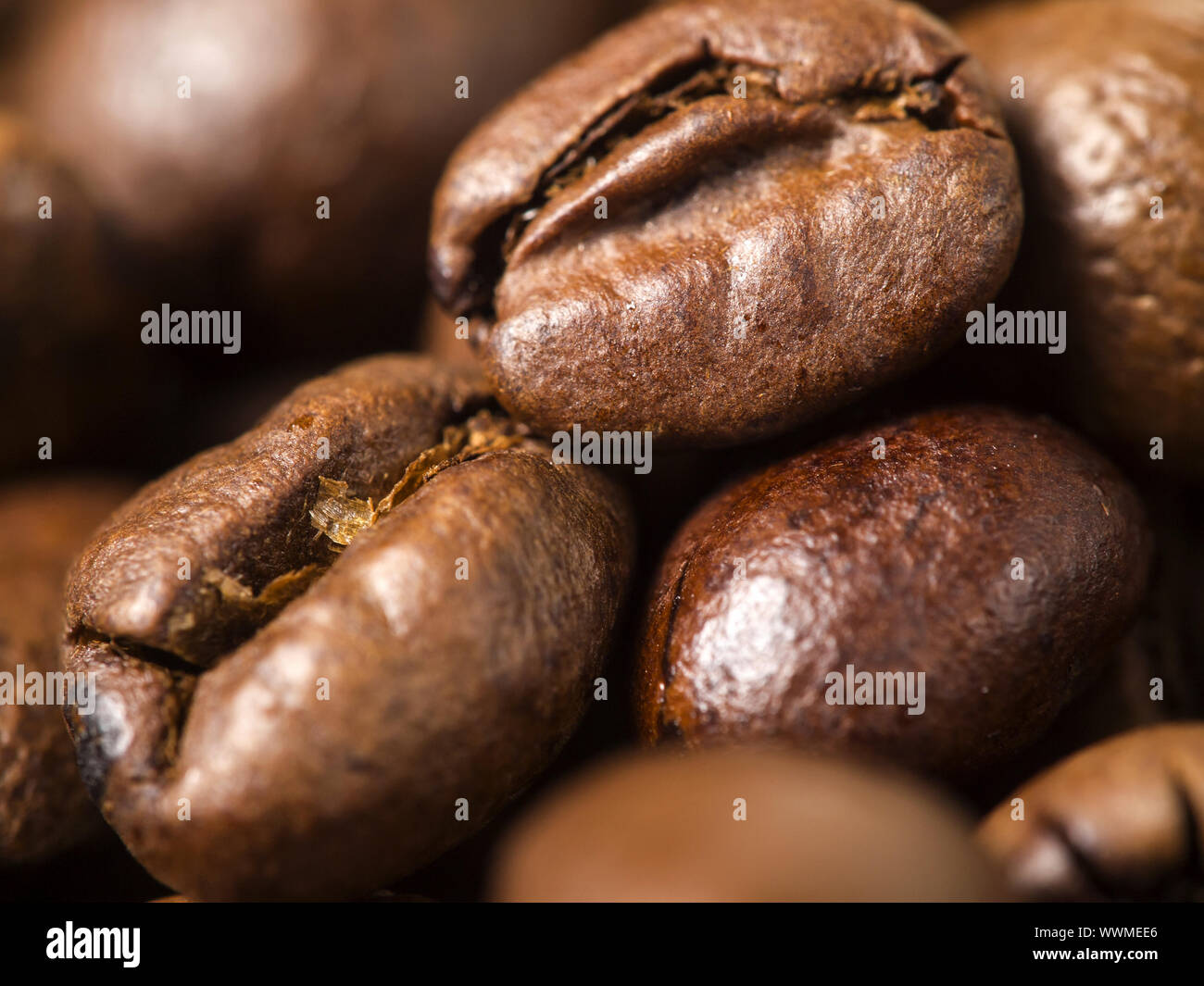 Geröstete Kaffeebohnen Stockfoto