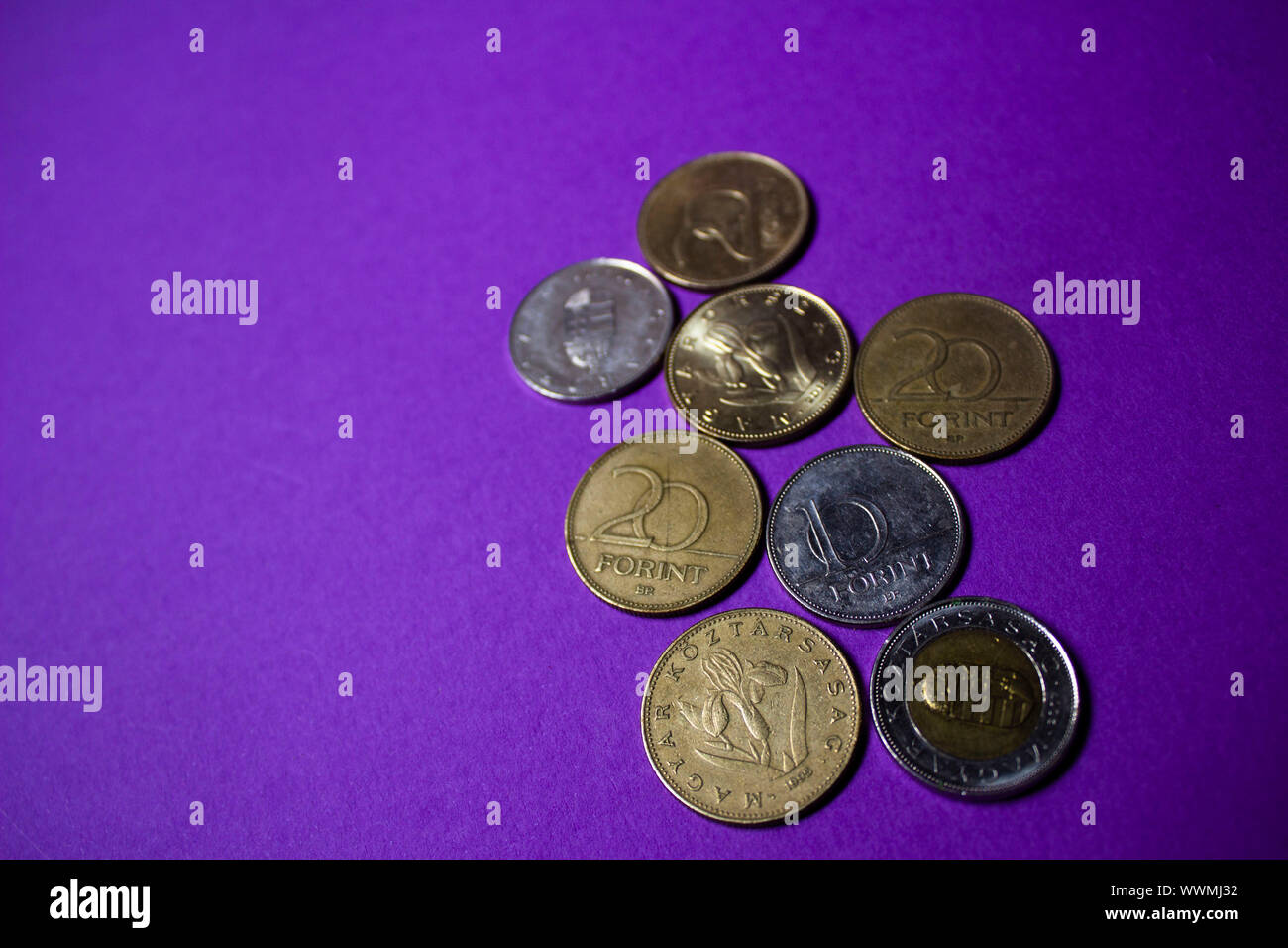 Ein Sortiment von acht Münzen (Ungarische Forint) auf lila Untergrund. Stockfoto