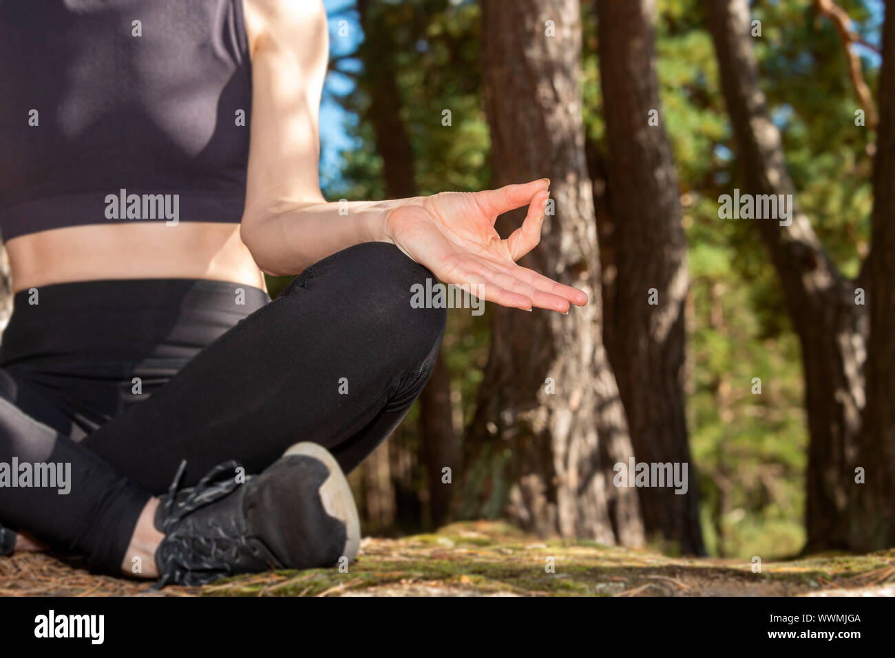 Yoga Hände, Nahaufnahme, Frau, die im Wald. Stockfoto