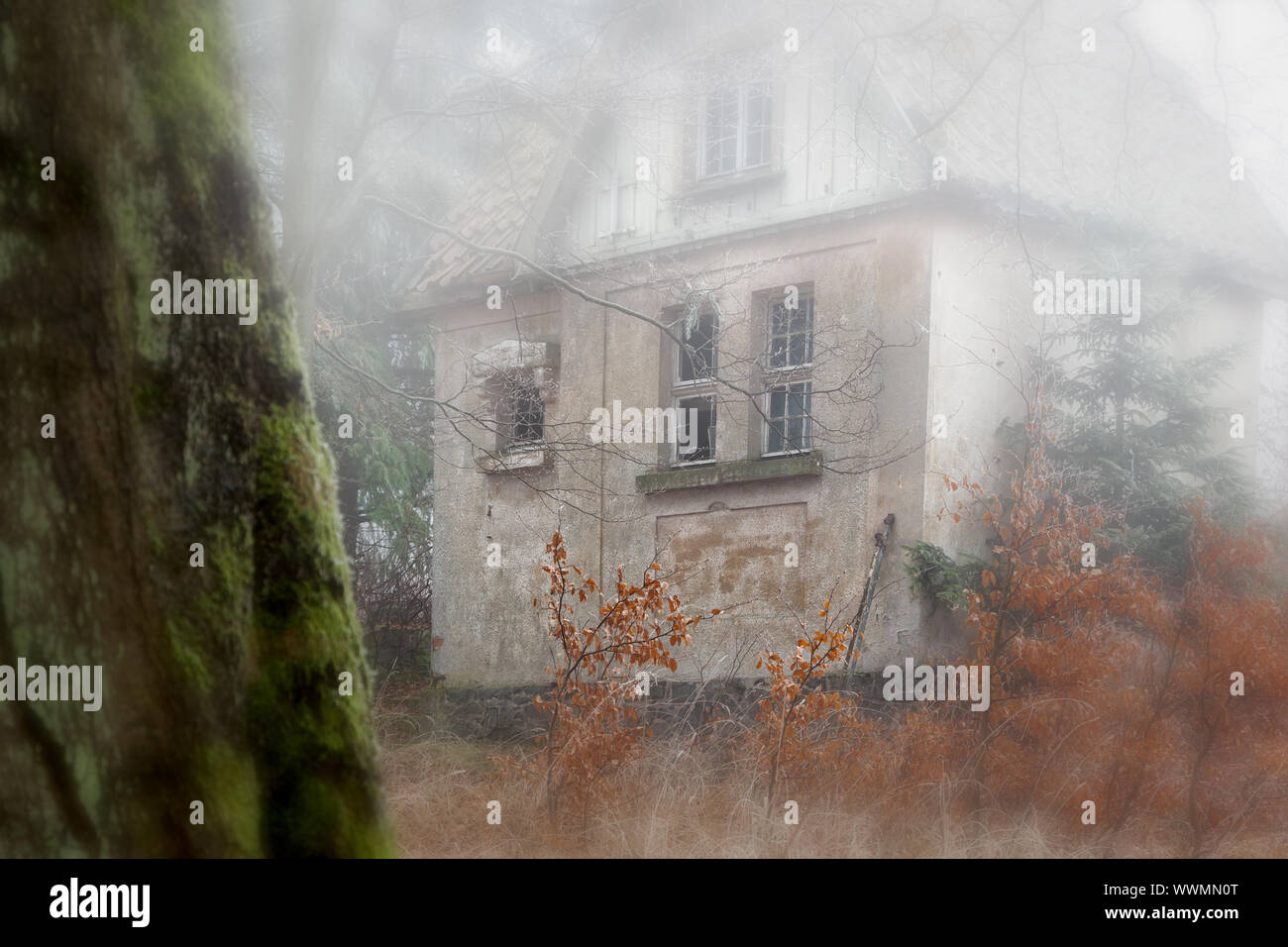 Haus in der nebligen Wald Stockfoto