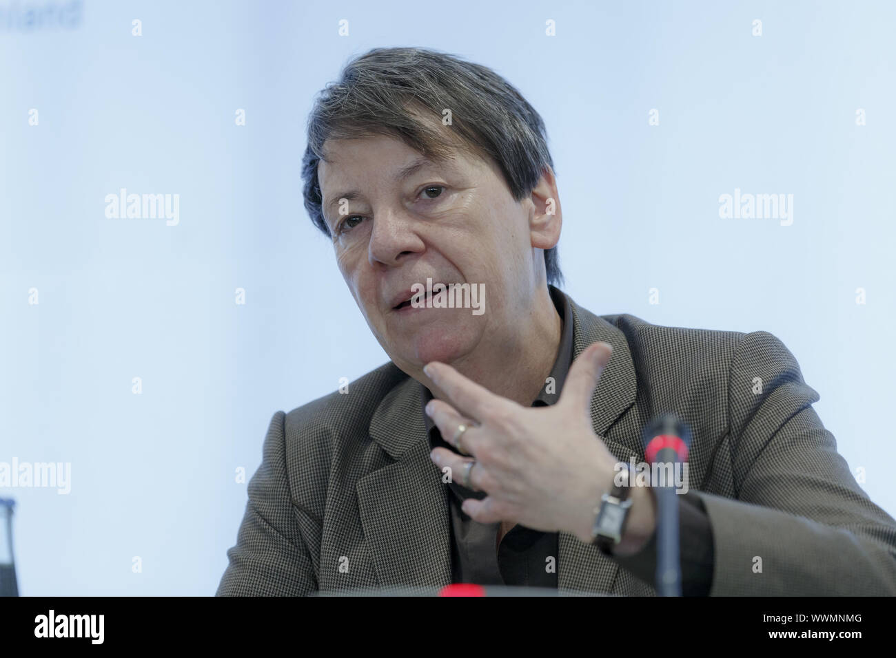 EU-Kommissar Potočnik und Bundesumweltminister Hendricks auf der Pressekonferenz in Berlin. Stockfoto