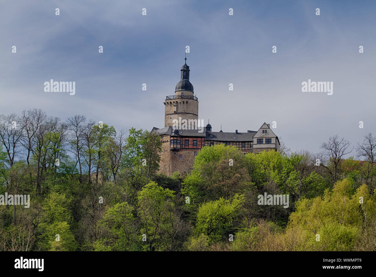 Blick aus dem Selketal Tal die Burg Falkenstein Harz Stockfoto