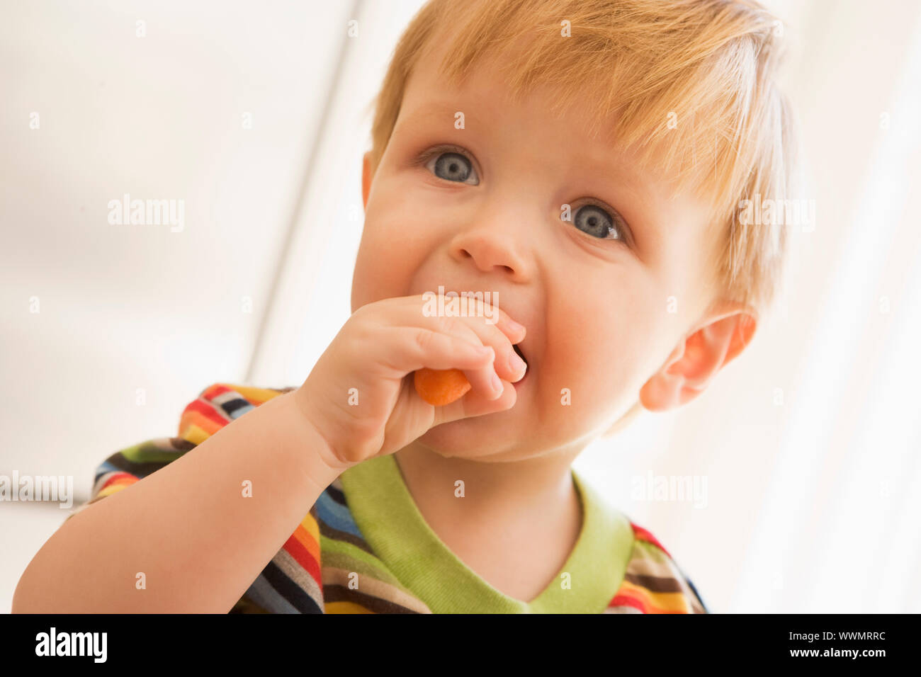 Kleiner Junge Essen Karotte drinnen Stockfoto