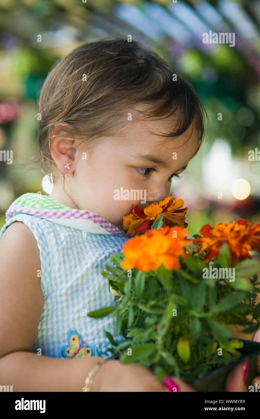 Mädchen riechen Ringelblumen Stockfoto
