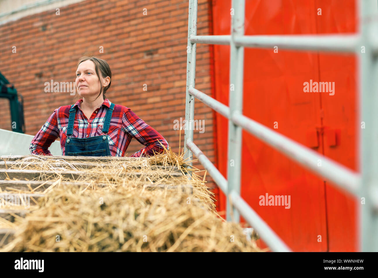 Zufrieden weiblich Landwirt mit kleinen Ladewagen auf landwirtschaftlichen Betrieb Stockfoto