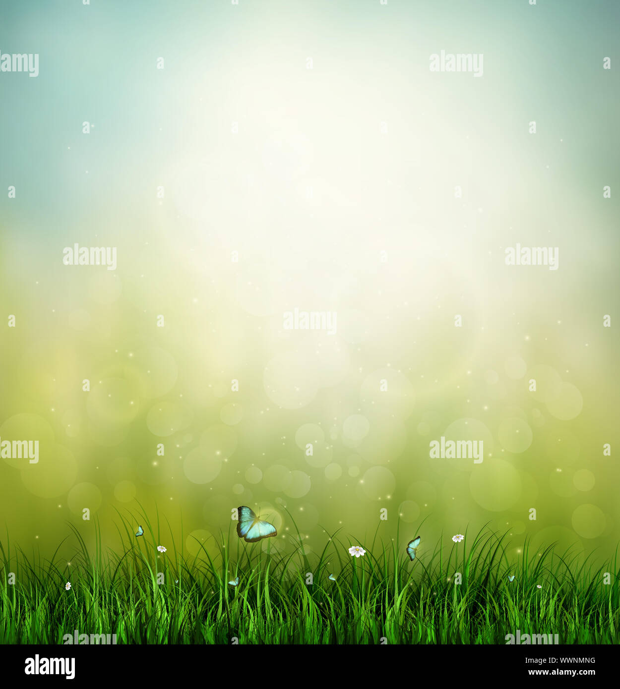 Gras, Blume und Schmetterling Stockfoto