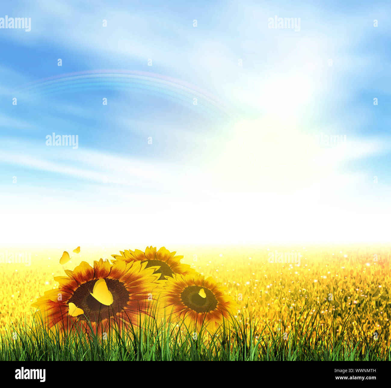 Sommer, Feld, Himmel, Sonne, Regenbogen, Gras, Sonnenblumen Stockfoto