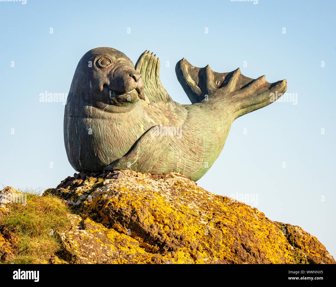 Dichtung Skulptur außerhalb der Scottish Seabird Centre, North Berwick, East Lothian, Schottland, Großbritannien. Stockfoto