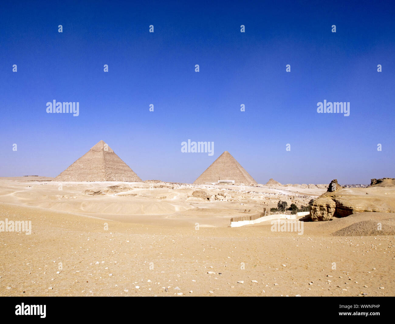 Chephren- und Cheops-Pyramide Stockfoto