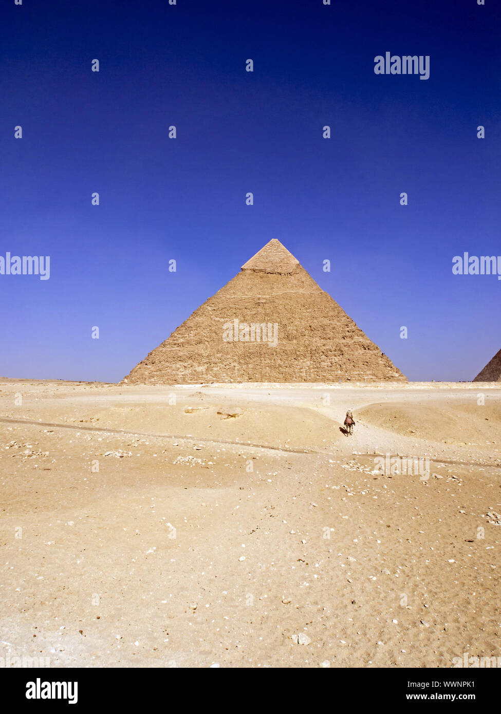 Die khafre Pyramide Stockfoto