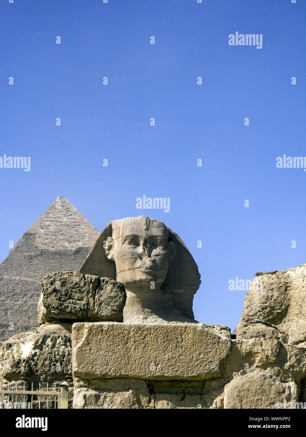 Sphinx gegen die Pyramide von khafre Stockfoto
