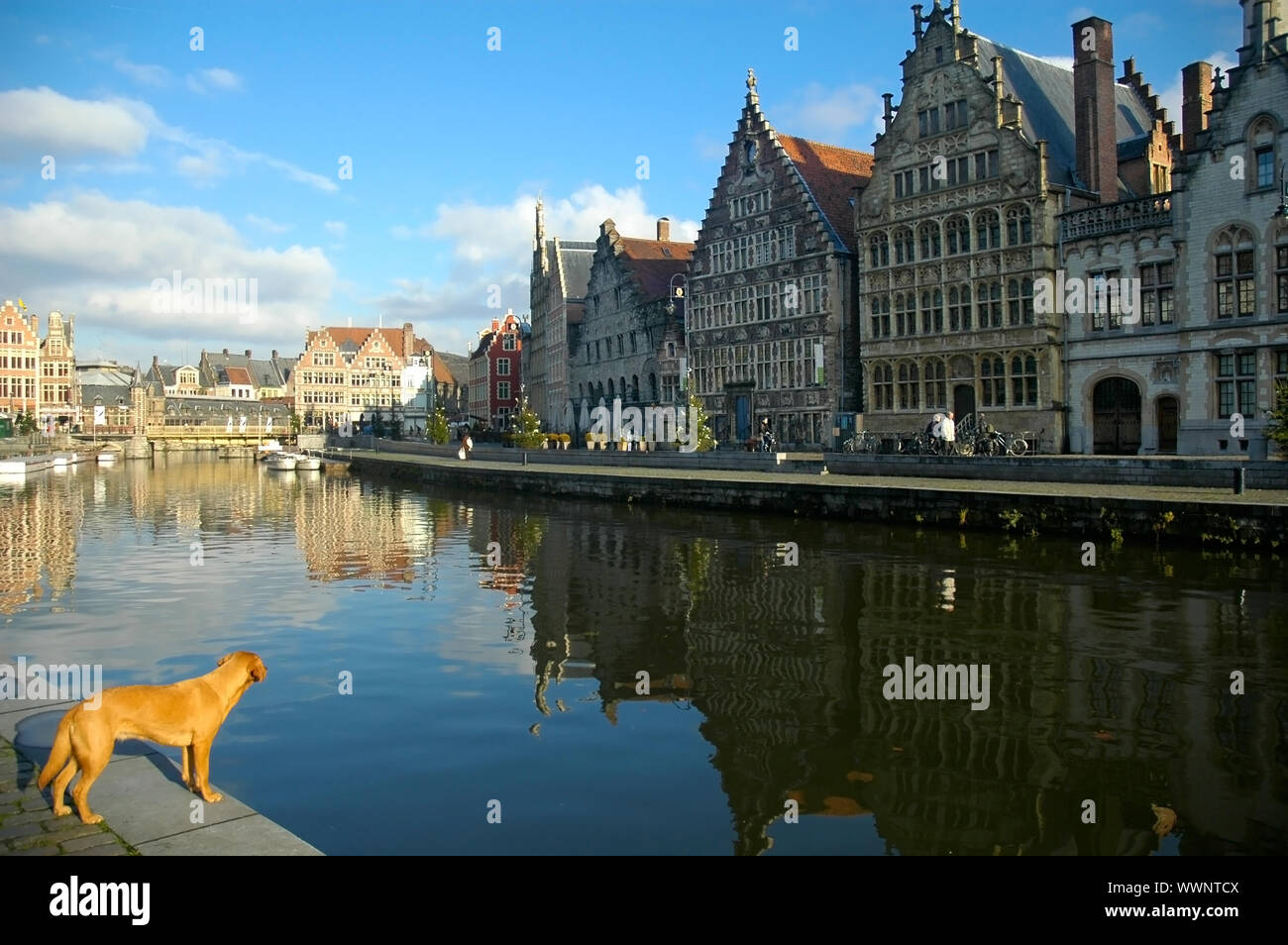 Gent, Belgien - Dez 3: Gent, Belgien, am 3. Dezember 2008, ist die Hauptstadt und größte Stadt der Provinz Ostflandern. Der graslei ist einer der Stockfoto