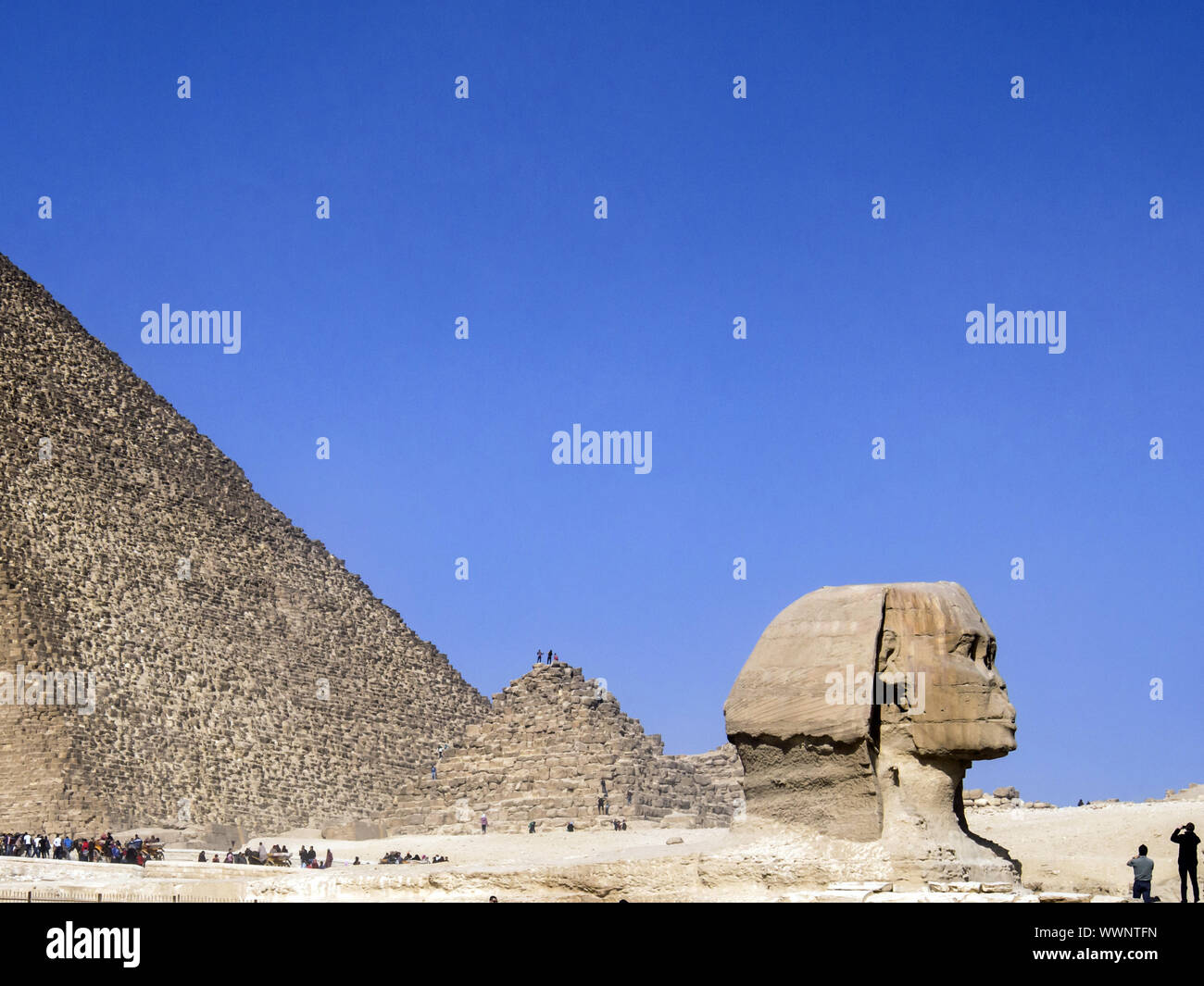 Sphinx vor den Pyramiden von Cheops Stockfoto