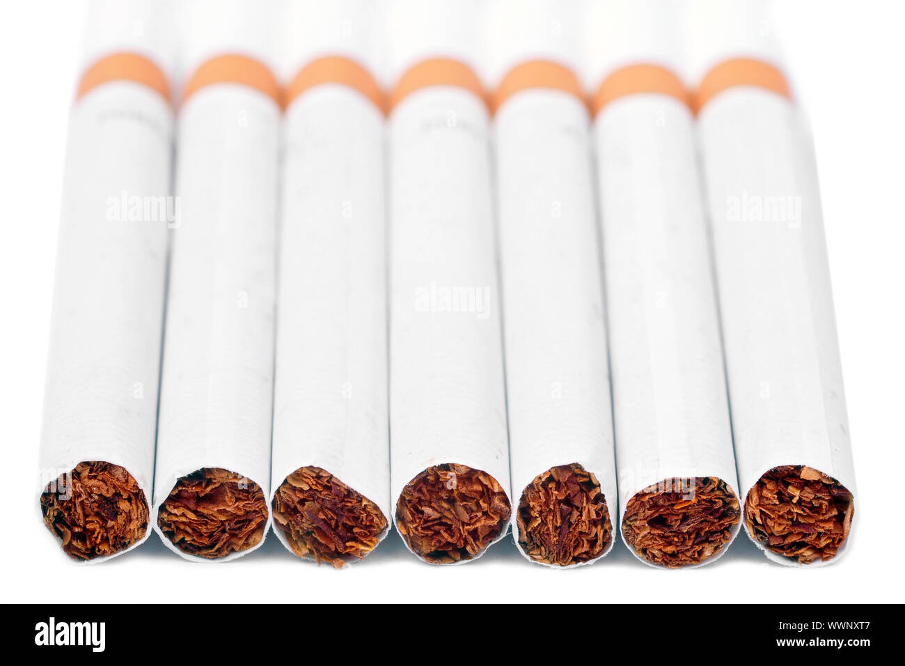 Gruppe von Cigarretes, die nebeneinander aufgereiht Stockfoto