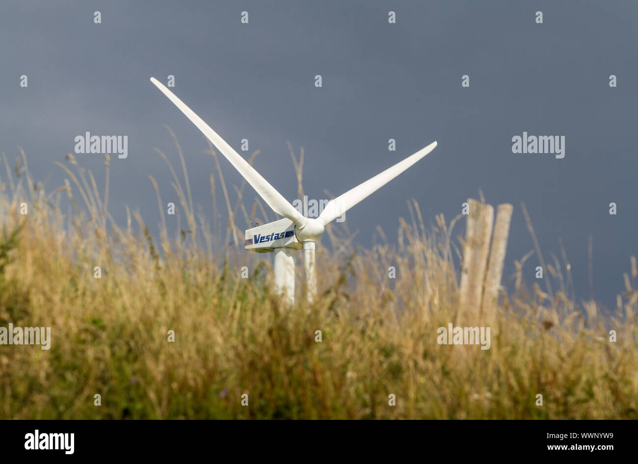 Die Stromerzeugung aus Windkraftanlagen Stockfoto