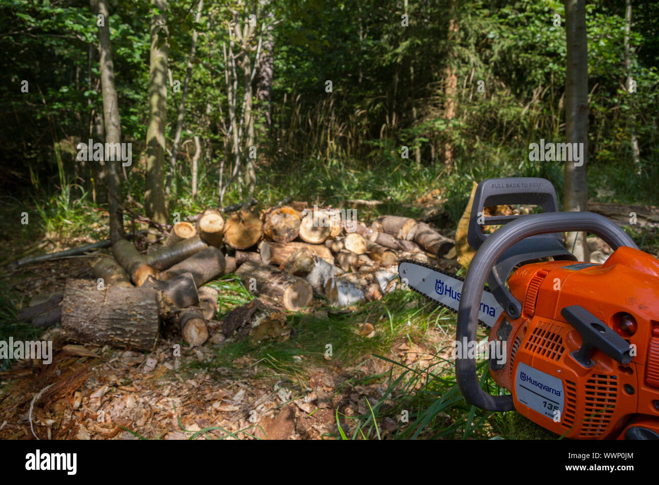 Brennholz Stockfoto