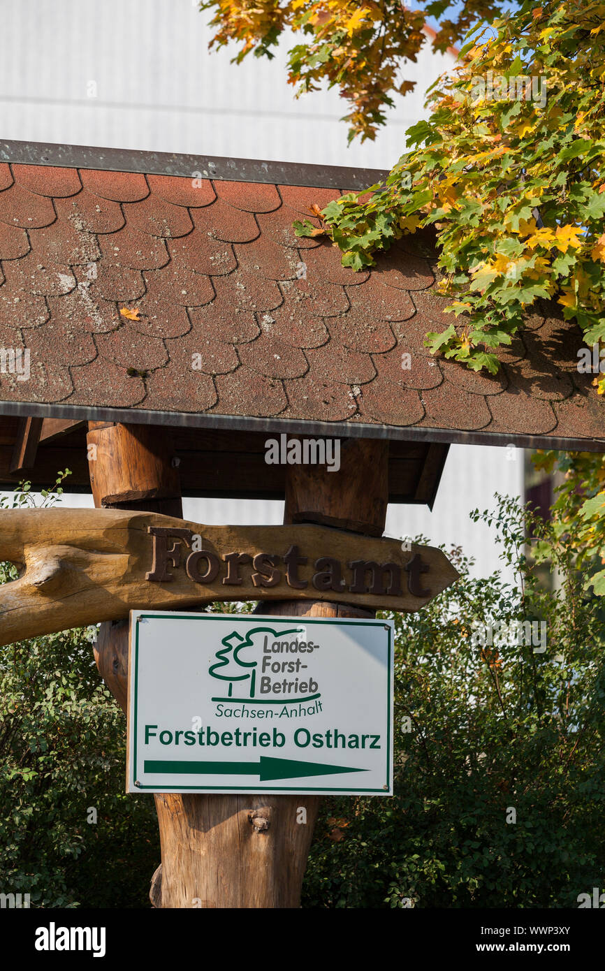 Forstbetrieb Ostharz Stockfoto