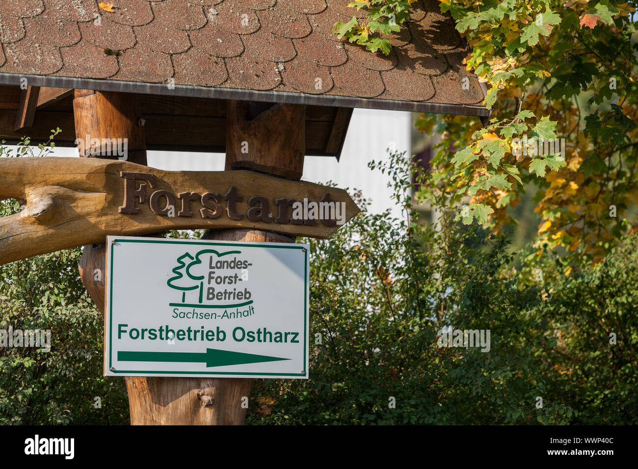 Forstbetrieb Ostharz Stockfoto