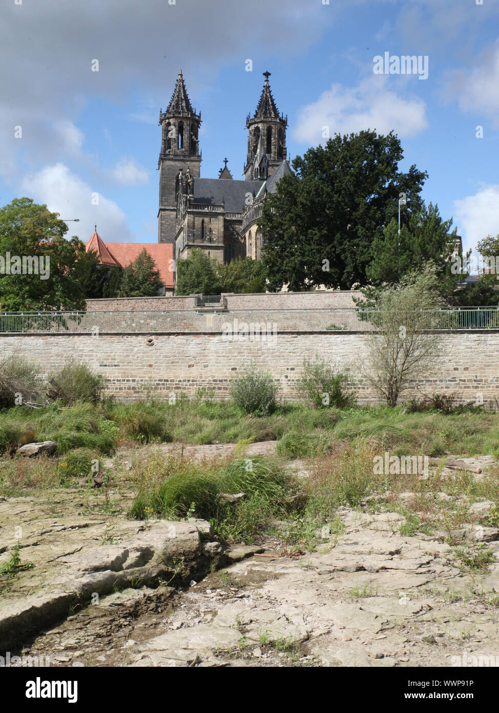 Blick auf den Magdeburger Dom an der Elbe Niedrigwasser 2015 in Magdeburg Sachsen-Anhalt Stockfoto