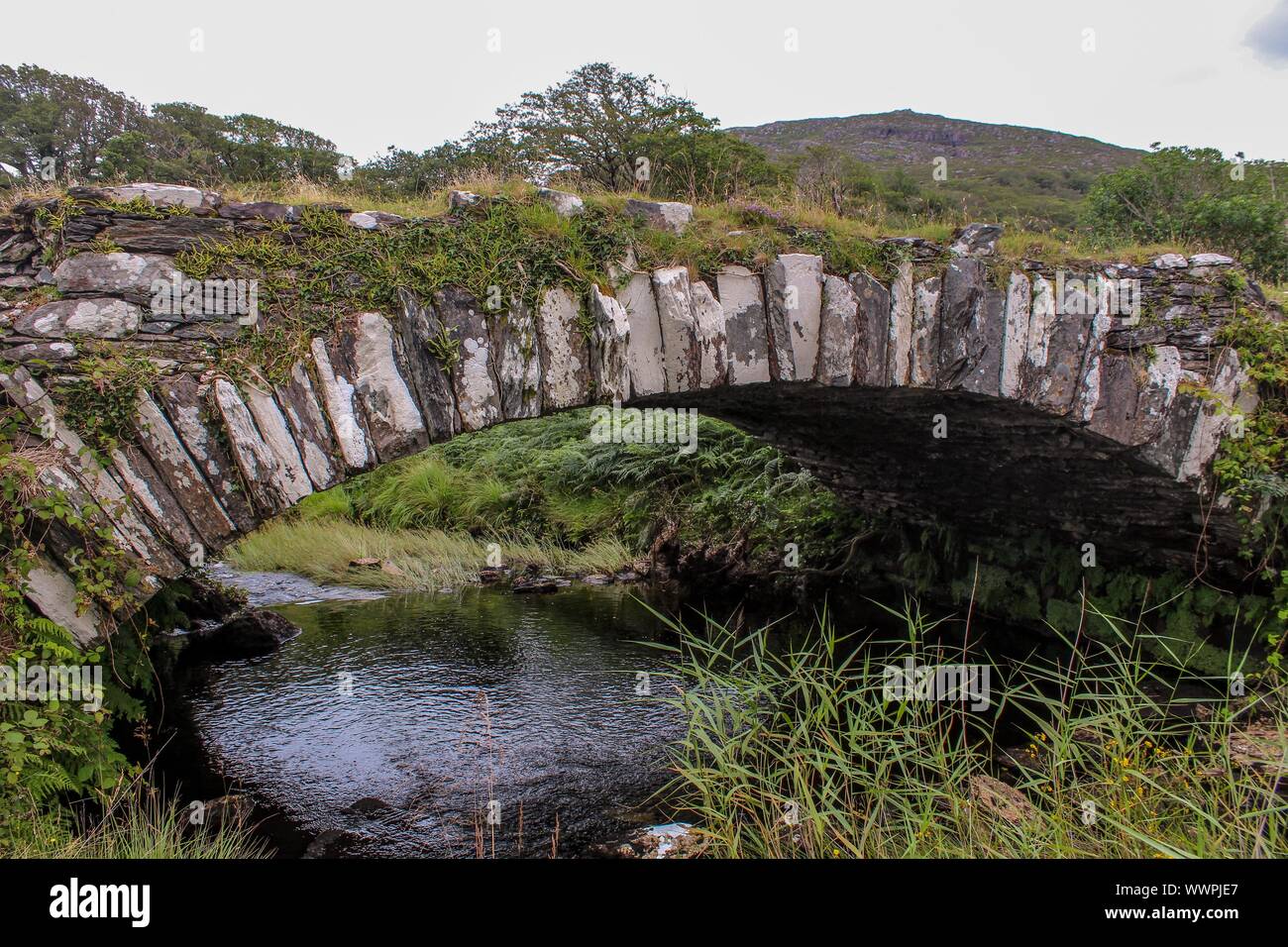 Alte rock Brücke über Stream Stockfoto