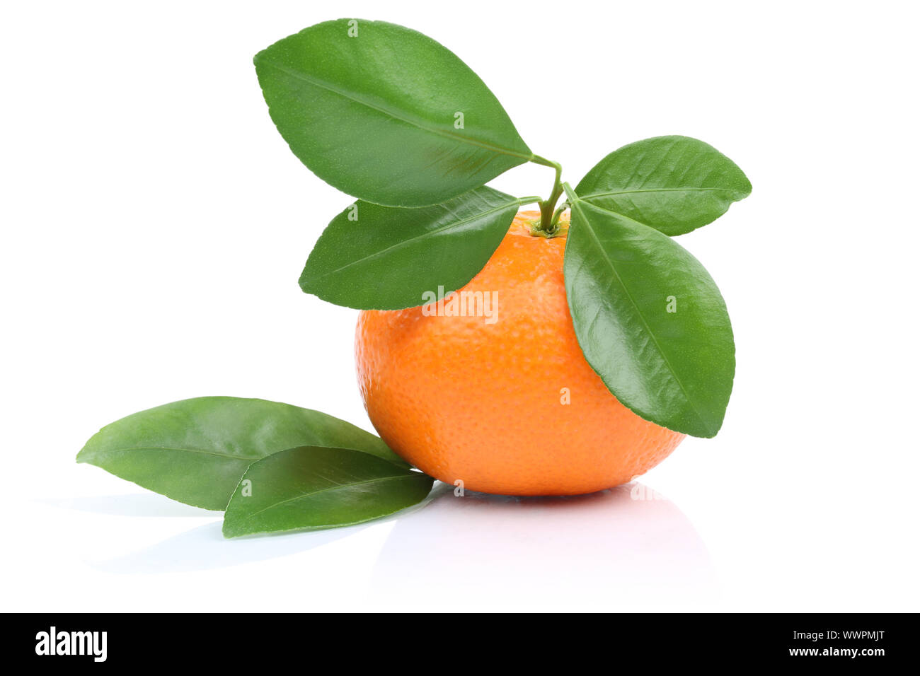 Mandarin Obst Befreiung isoliert Isoliert Stockfoto