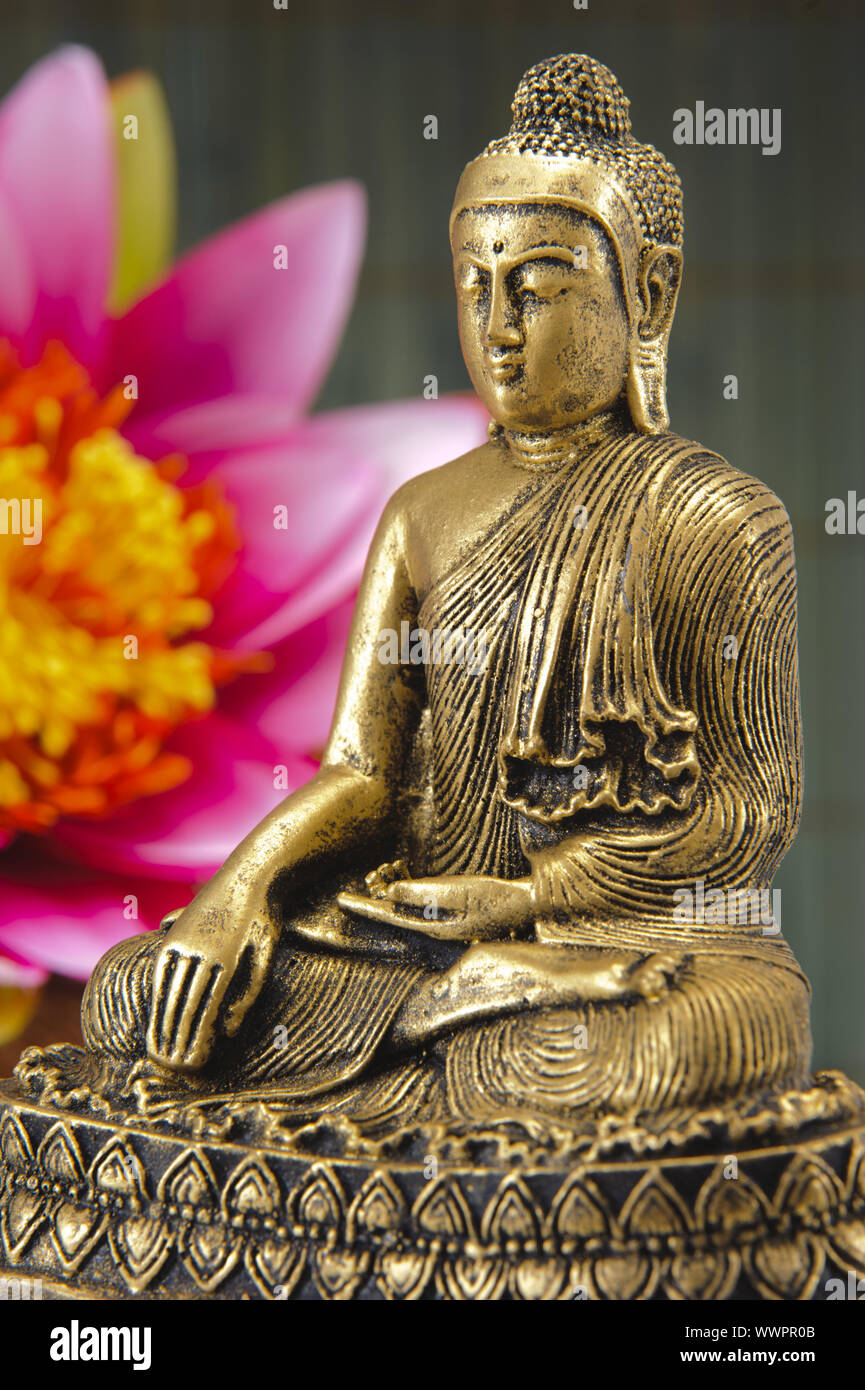 Buddha-Figur in der meditation Stockfoto