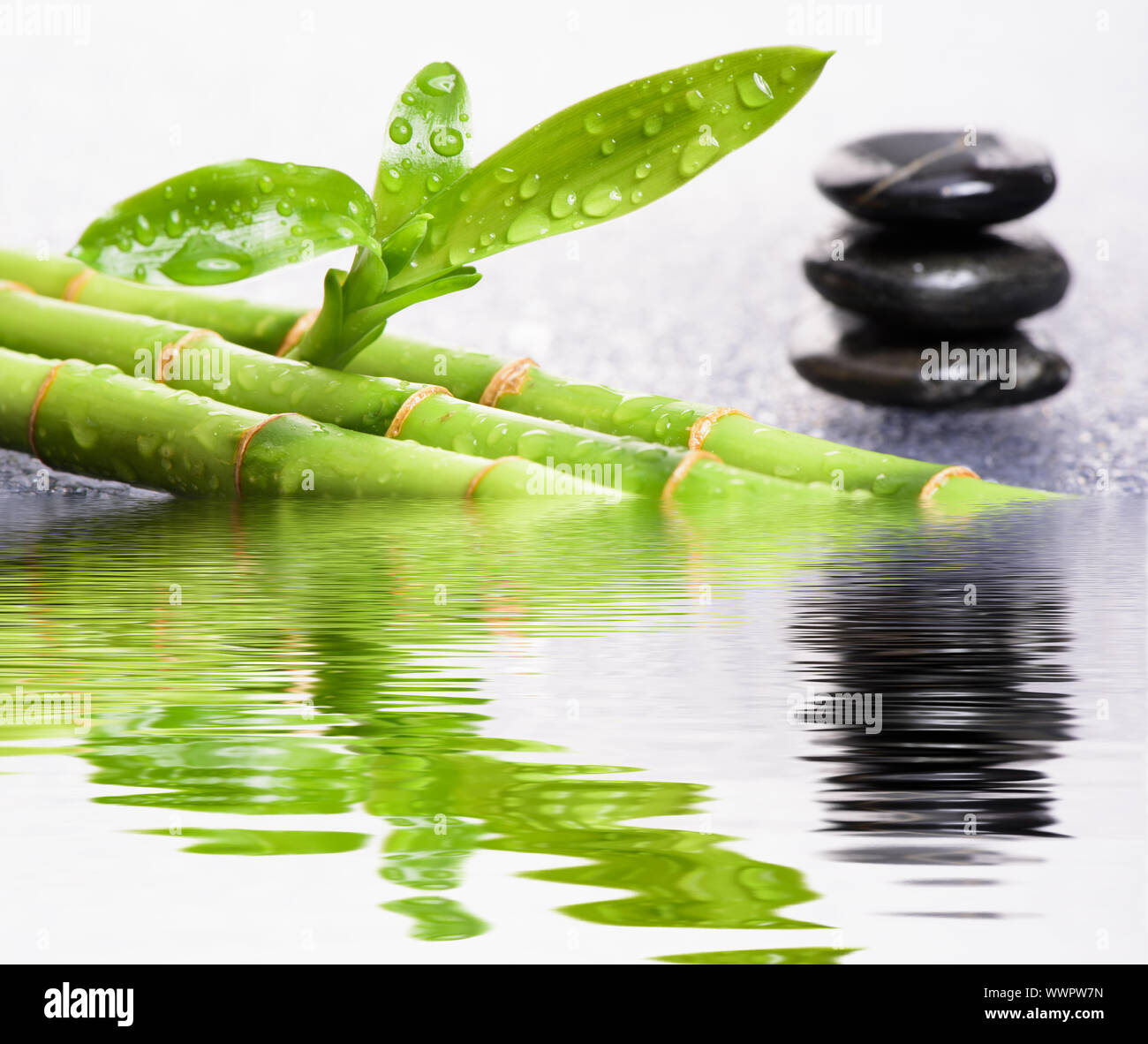 ZEN Garten mit schwarzen Steinen und Wasser Reflexion Stockfoto