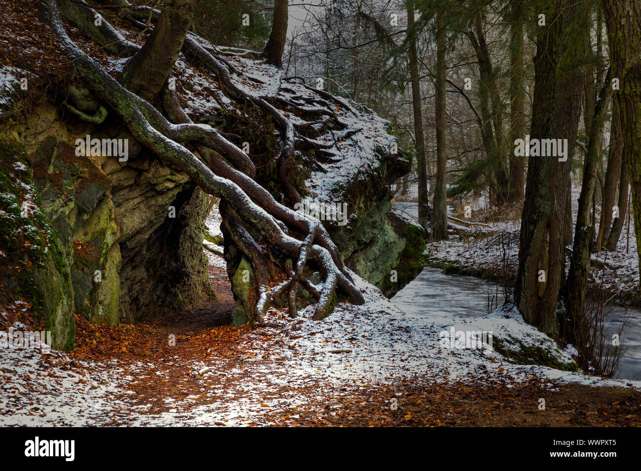 Rock Durchbruch Weitwanderweg Selketal-Stieg Harz Stockfoto