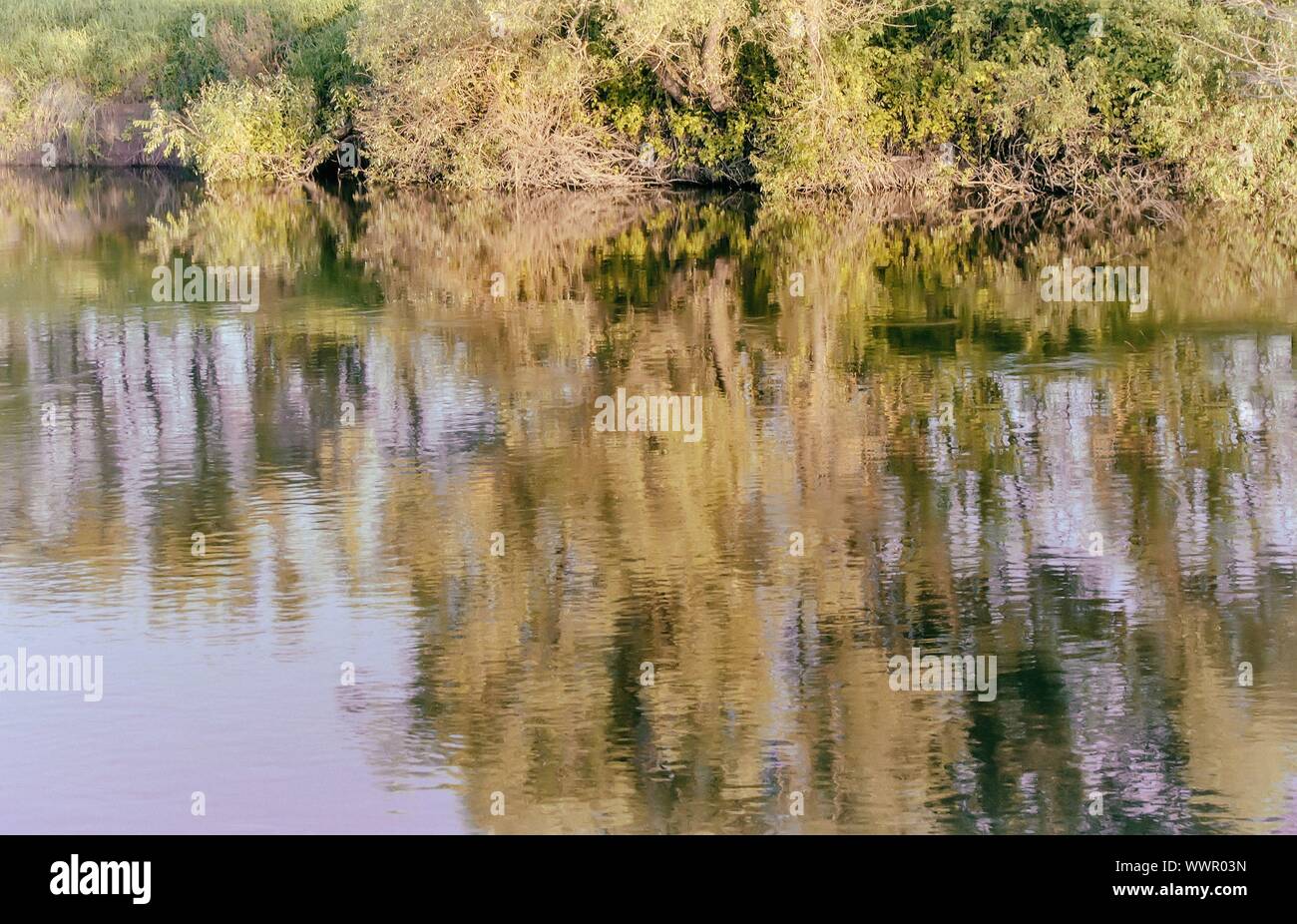 Den Herbst Wald am Ufer des großen schönen See Stockfoto
