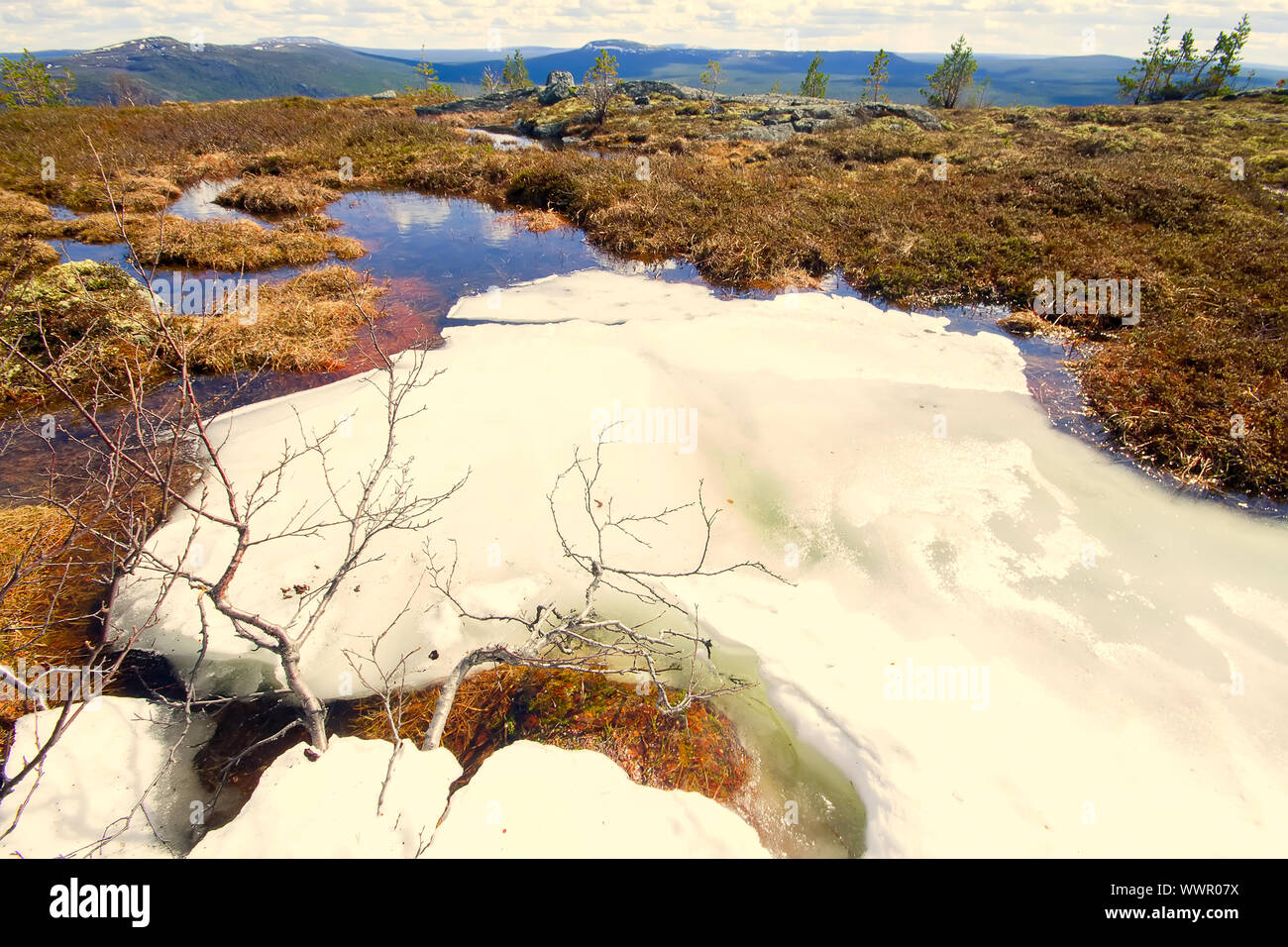 Frühling in den Bergen. Schöne Landschaft Stockfoto