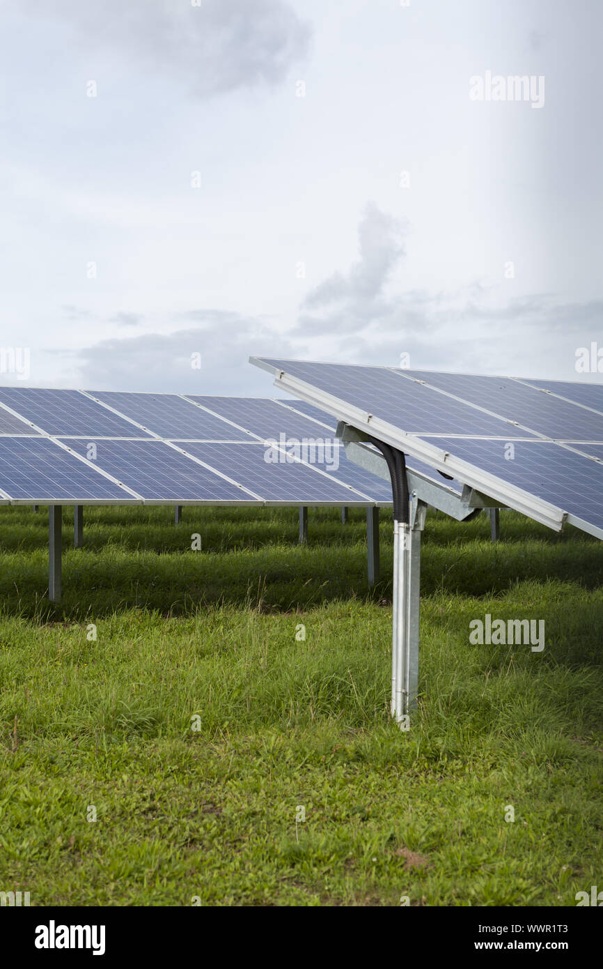 Feld mit blauen Siliciom Solarzellen Alternativenergie Stockfoto