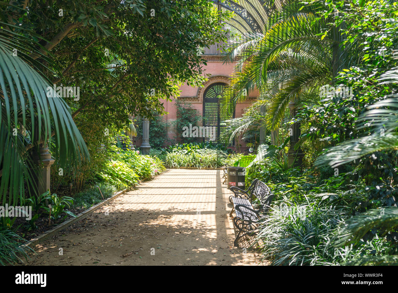 Tropenhaus Umbracle im Parc de la Ciutadella, Barcelona Stockfoto