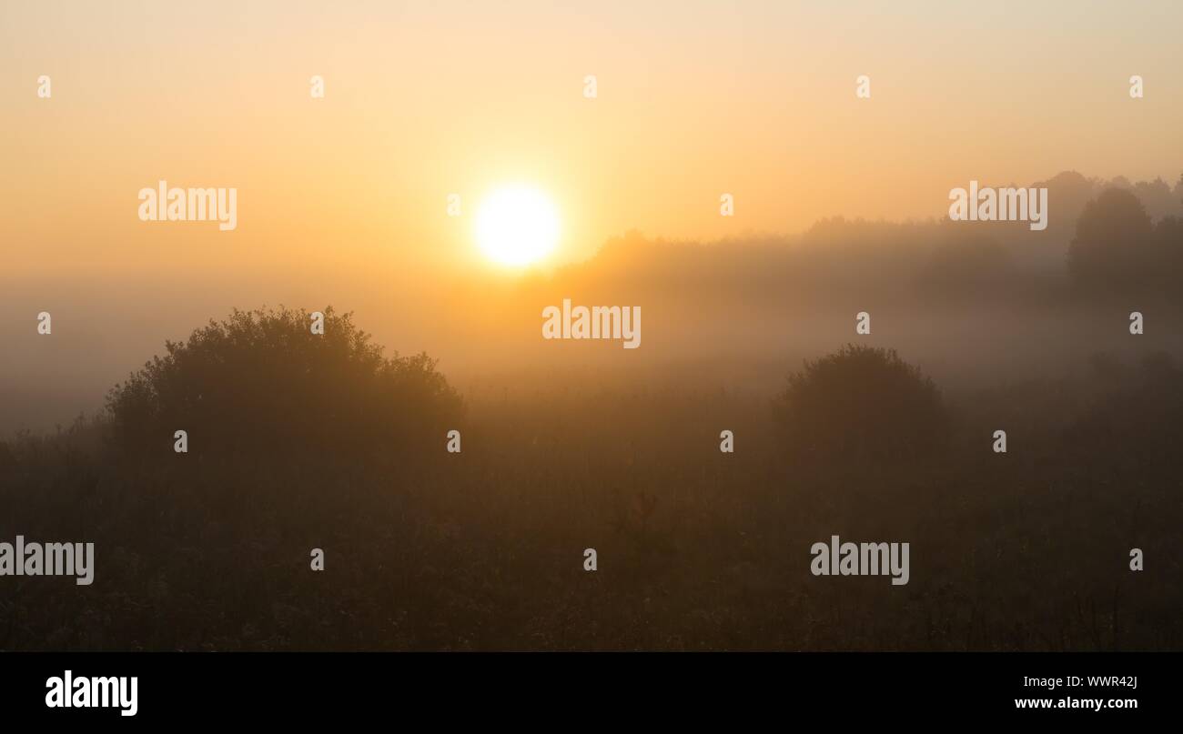 Schönen Sonnenaufgang über dem Nebel Meaodw. Ruhigen Landschaft fotografiert auf typische polnische Landschaft. Rasen und Pflanzen mit dewdro Stockfoto