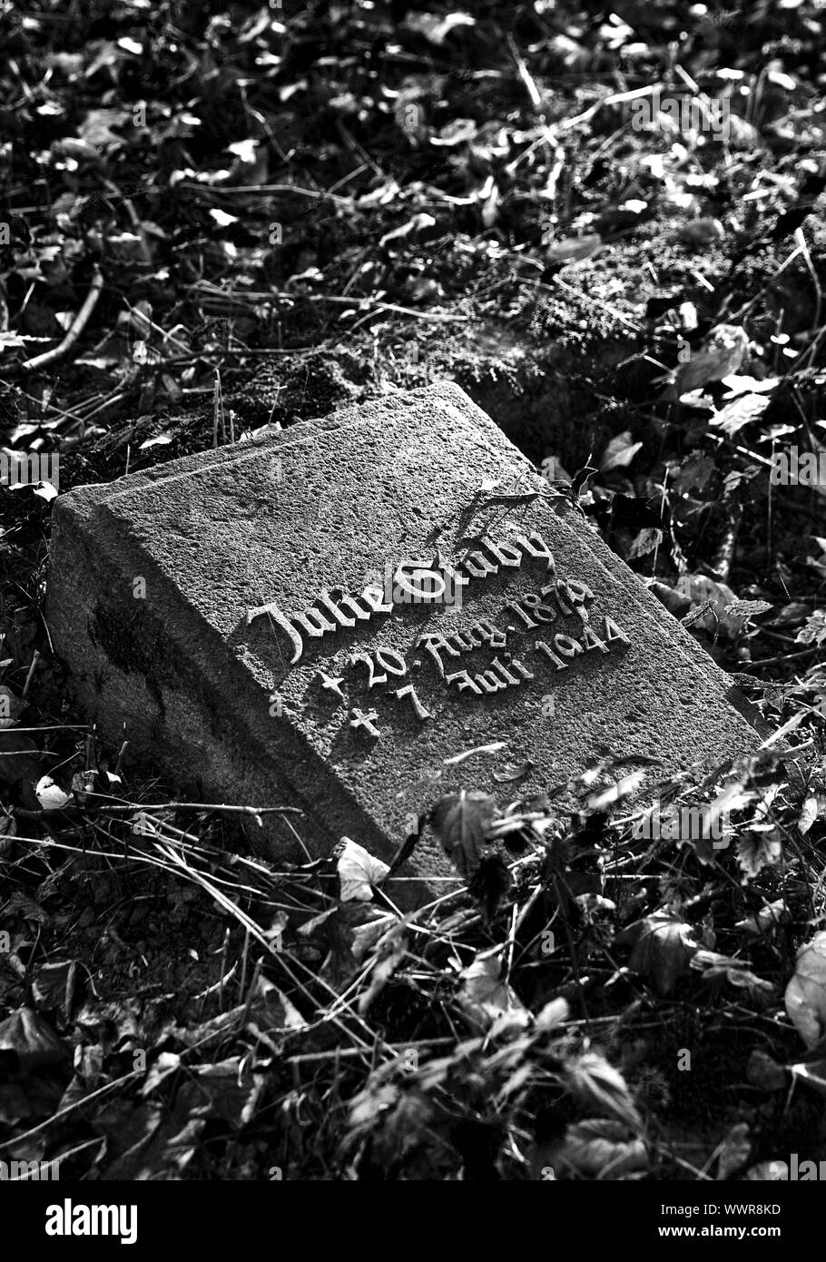Ein Grab auf dem Friedhof Westfriedhof, Unna, Ruhrgebiet, Nordrhein-Westfalen, Deutschland, Europa Stockfoto