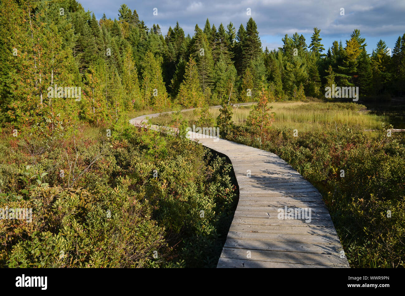 La Mauricie Nationalpark typische Landschaft in der Provinz Quebec, Kanada. Stockfoto