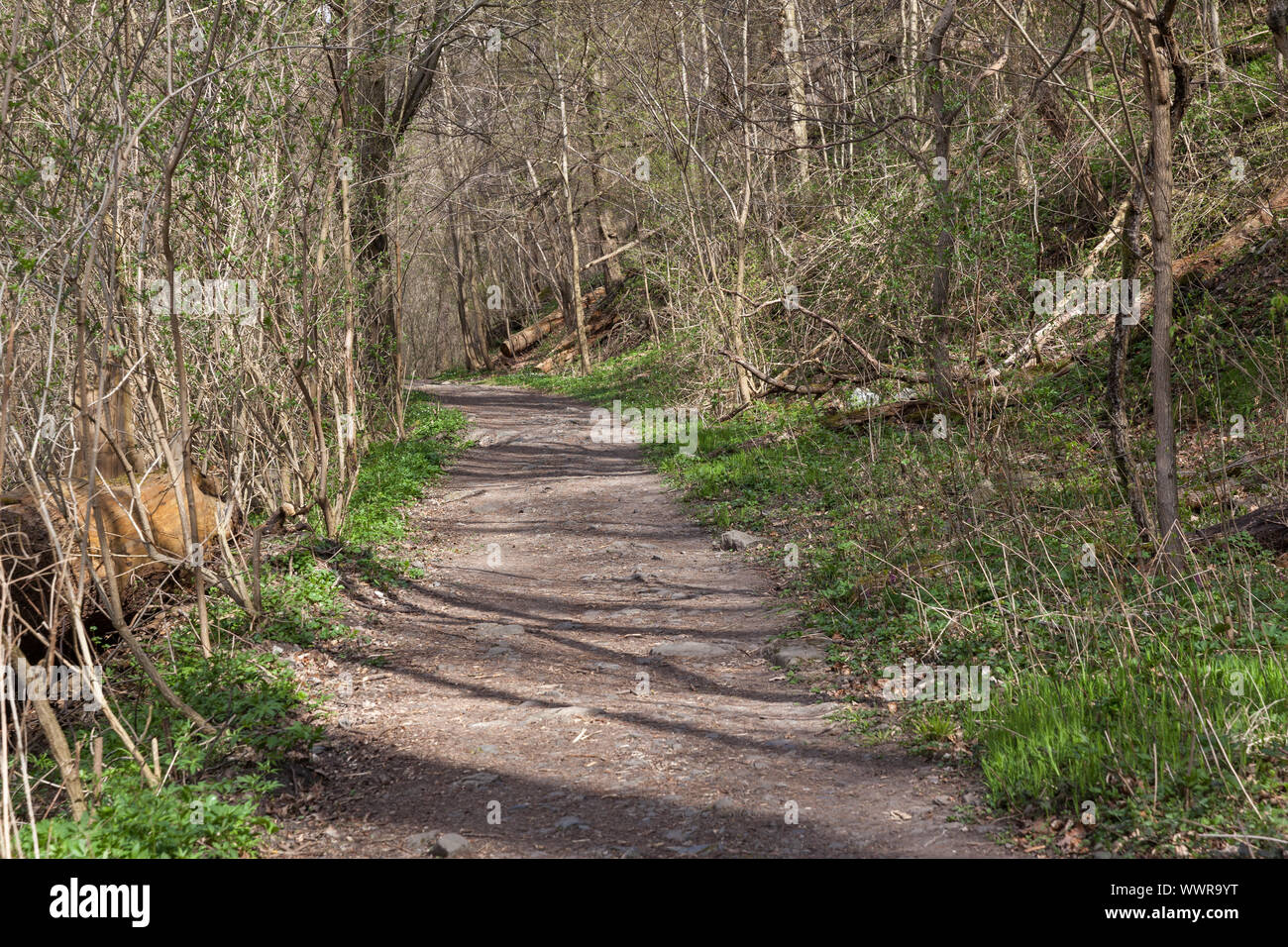 Bodetal aufstieg Treseburg Thale Stockfoto