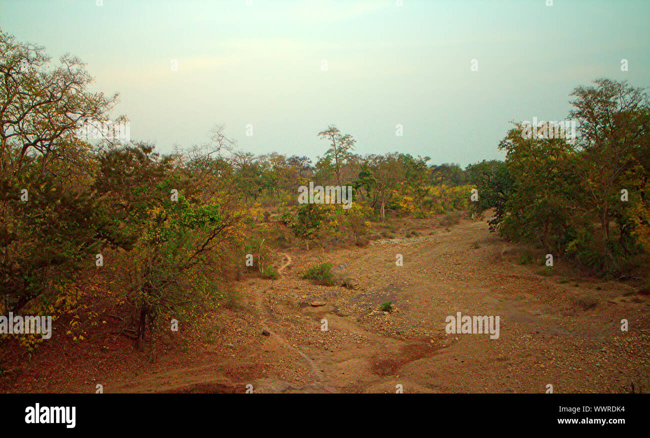 Bereich um Nagpur, Indien. Trockenen Ausläufern Stockfoto