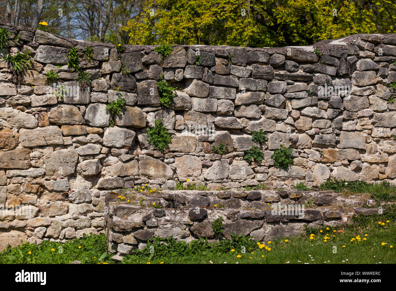 Historische Reste einer Burg an der Wand Stockfoto